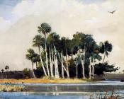 温斯洛 荷默 : The Turkey Buzzard